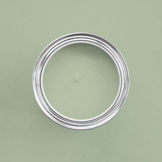 Farbton Aloe in einer geöffneten Dose von oben.