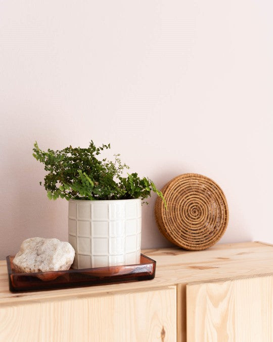 Wand im Farbton Baby Rose gestrichen mit IKEA Ivar.