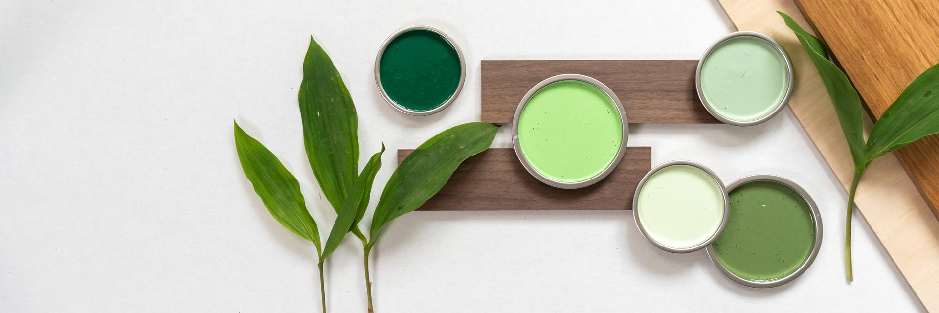 Bannerbild für unsere Grüntöne.