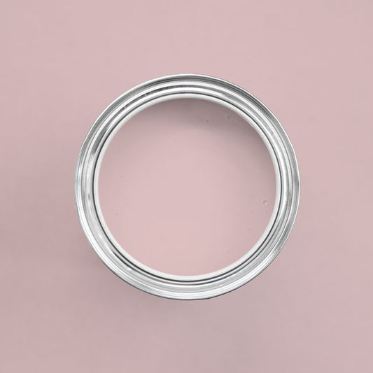 Farbton Blush in einer geöffneten Dose von oben