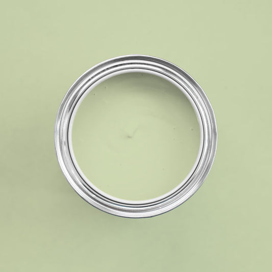 Farbon Bonsai in einer geöffneten Dose von oben