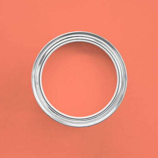 Farbton Crazy Coral in einer geöffneten Dose von oben