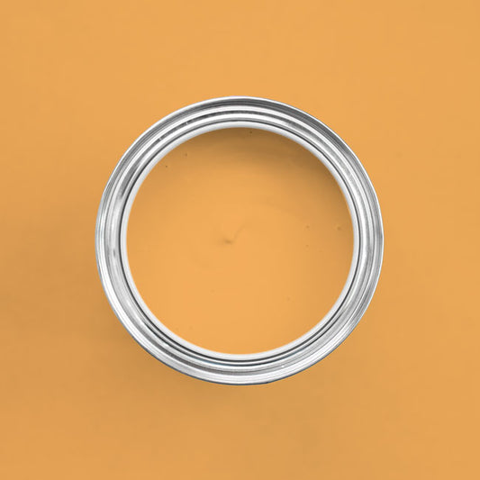 Farbton Daisy in einer geöffneten Dose von oben