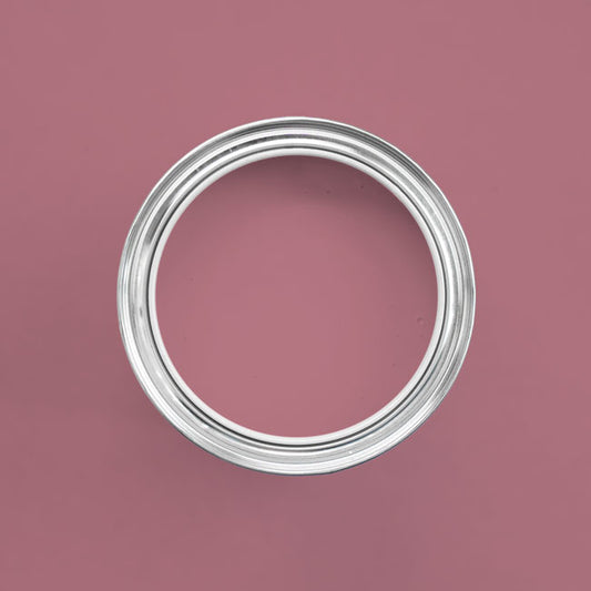 Farbton Denver in einer geöffneten Dose von oben