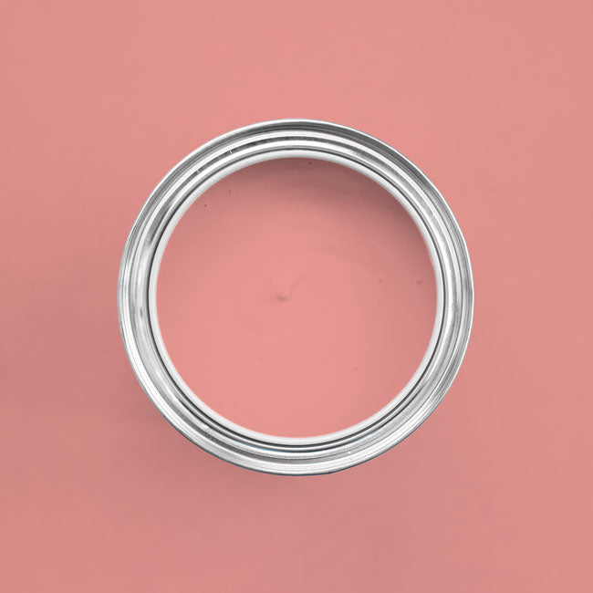 Farbton Flamingo in einer geöffneten Dose von oben