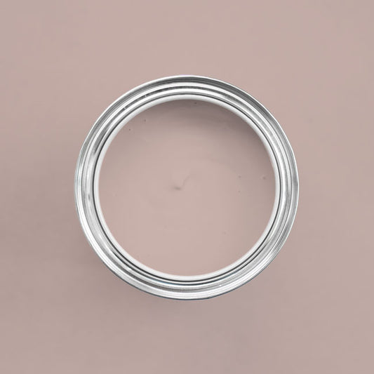 Farbton Ice Cream in einer geöffneten Dose von oben