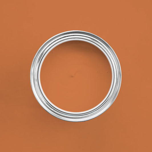 Farbton Papaya in einer geöffneten Dose von oben