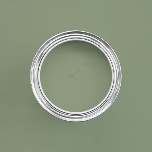 Farbton Salbeigrün in einer geöffneten Dose von oben