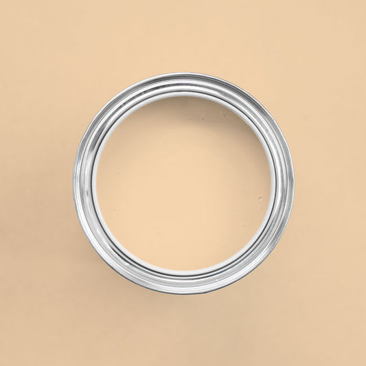 Farbton Salmon Spring in einer geöffneten Dose von oben