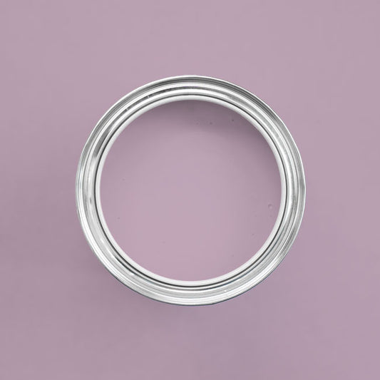 Farbton Seattle in einer geöffneten Dose von oben