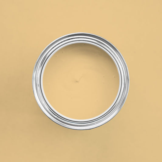 Farbton Sierra Nevada in einer geöffneten Dose von oben