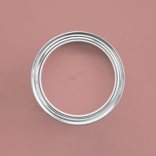 Farbton Terracotta in einer geöffneten Dose von oben