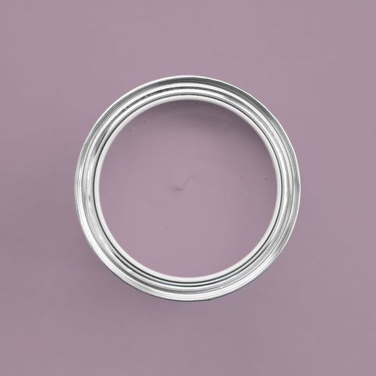 Farbton Violetta in Dose von oben fotografiert