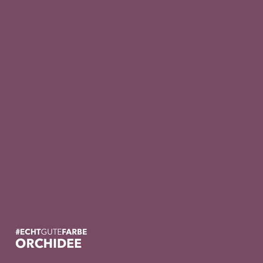 Farbtonbild des Lignocolor Farbtons Orchidee