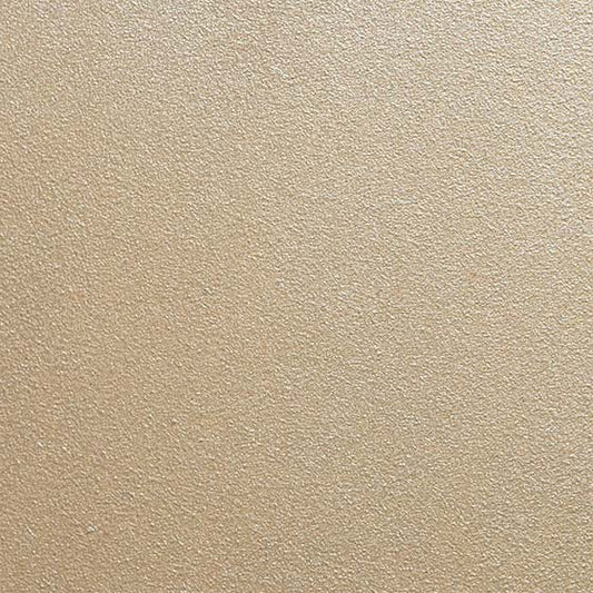 Farbtonbild der Metallicfarbe Pure Platinum