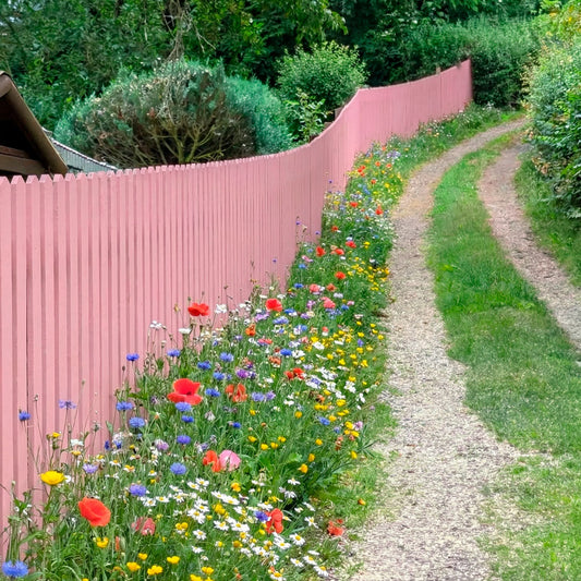 Holzzaun streichen – so machst du ihn wetterfest und langlebig