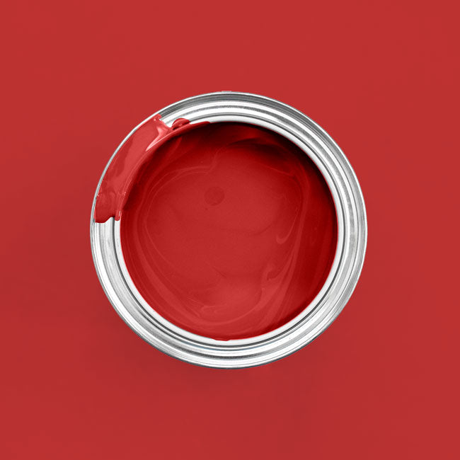Rot