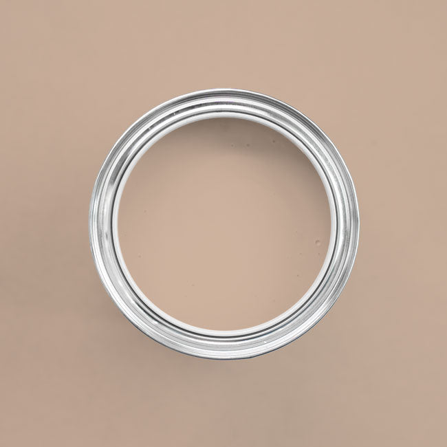 Farbton Cocoa Beans in einer geöffneten Dose von oben