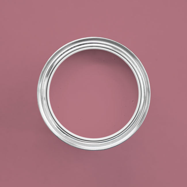 Farbton Denver in einer geöffneten Dose von oben