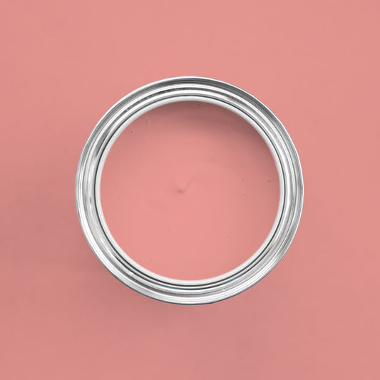 Farbton Flamingo in einer geöffneten Dose von oben