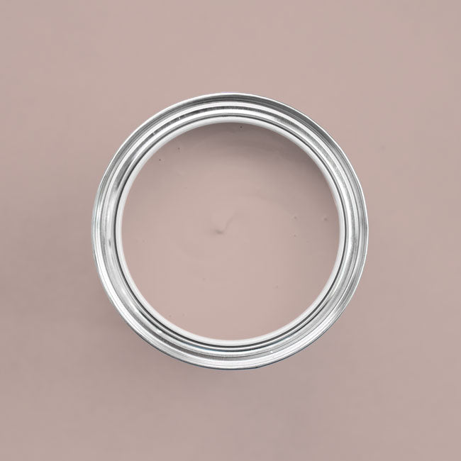 Farbton Ice Cream in einer geöffneten Dose von oben