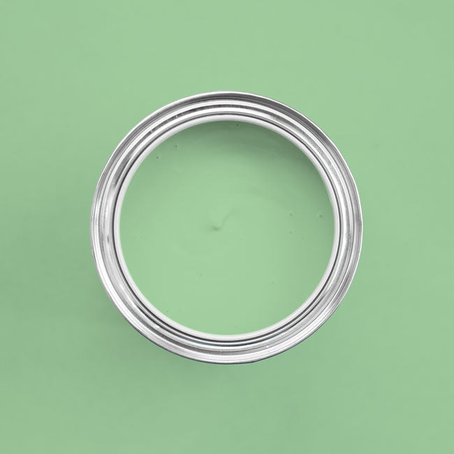 Farbton Miami Green in einer geöffneten Dose von oben