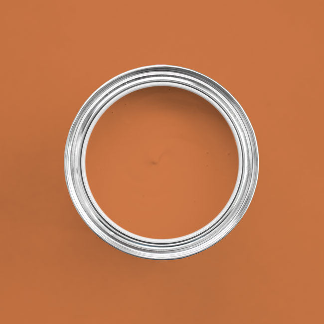 Farbton Papaya in einer geöffneten Dose von oben