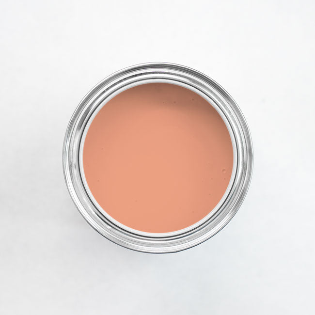 Wandfarbe Nubilli Edition Peachy Bellini