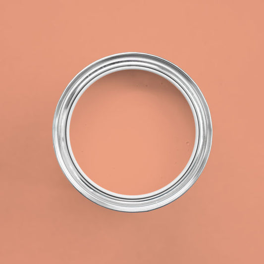 Farbton Peachy Bellini in einer geöffneten Dose von oben