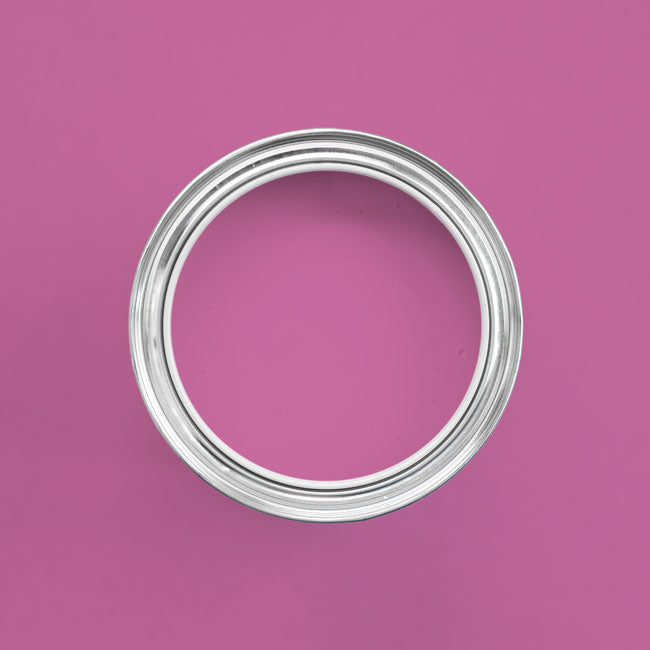 Farbton Pink Pipes in einer geöffneten Dose von oben