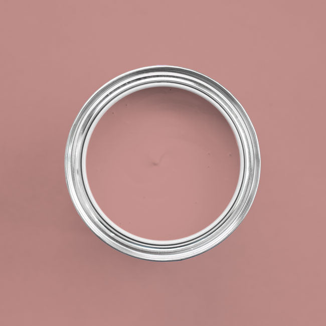 Farbton Terracotta in einer geöffneten Dose von oben