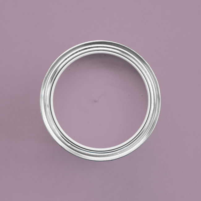 Farbton Violetta in Dose von oben fotografiert