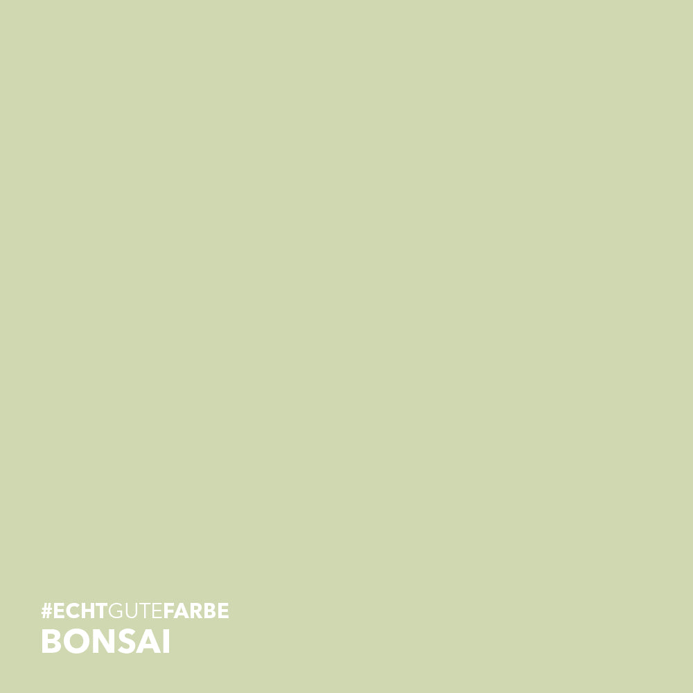 Holzfarbe außen Bonsai